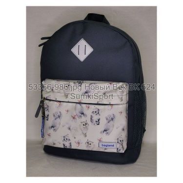 Рюкзак молодіжний 17 л Bagland 533662 (986)