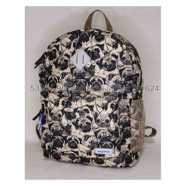 Рюкзак молодежный 17 л Bagland 533664 (981)
