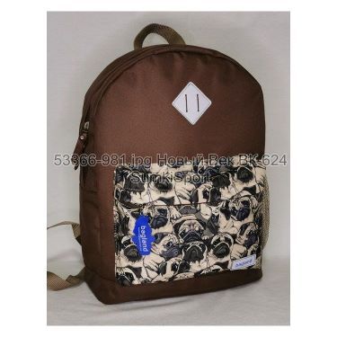 Рюкзак молодежный 17 л Bagland 533662 (981)